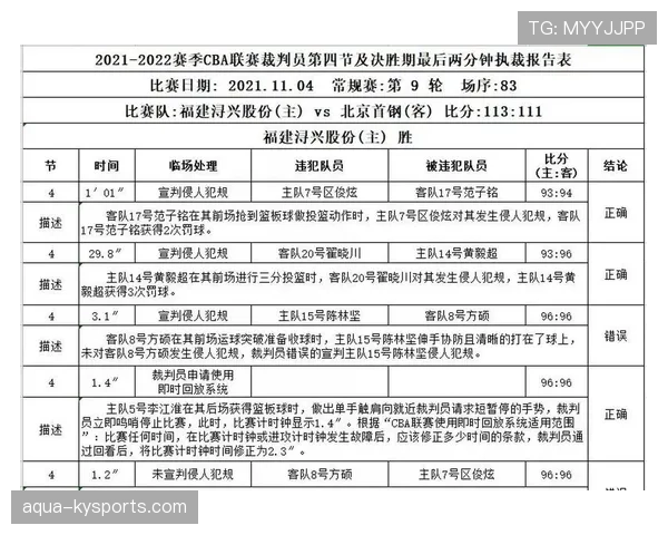 裁判报告须载哪些要素及对纪律判罚的作用解析